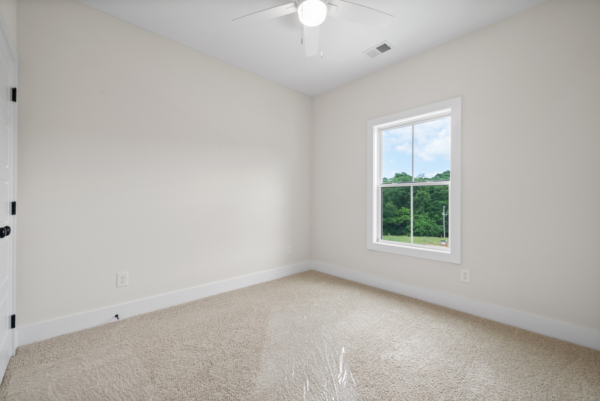 193 Dewberry Ct Property Photo 39