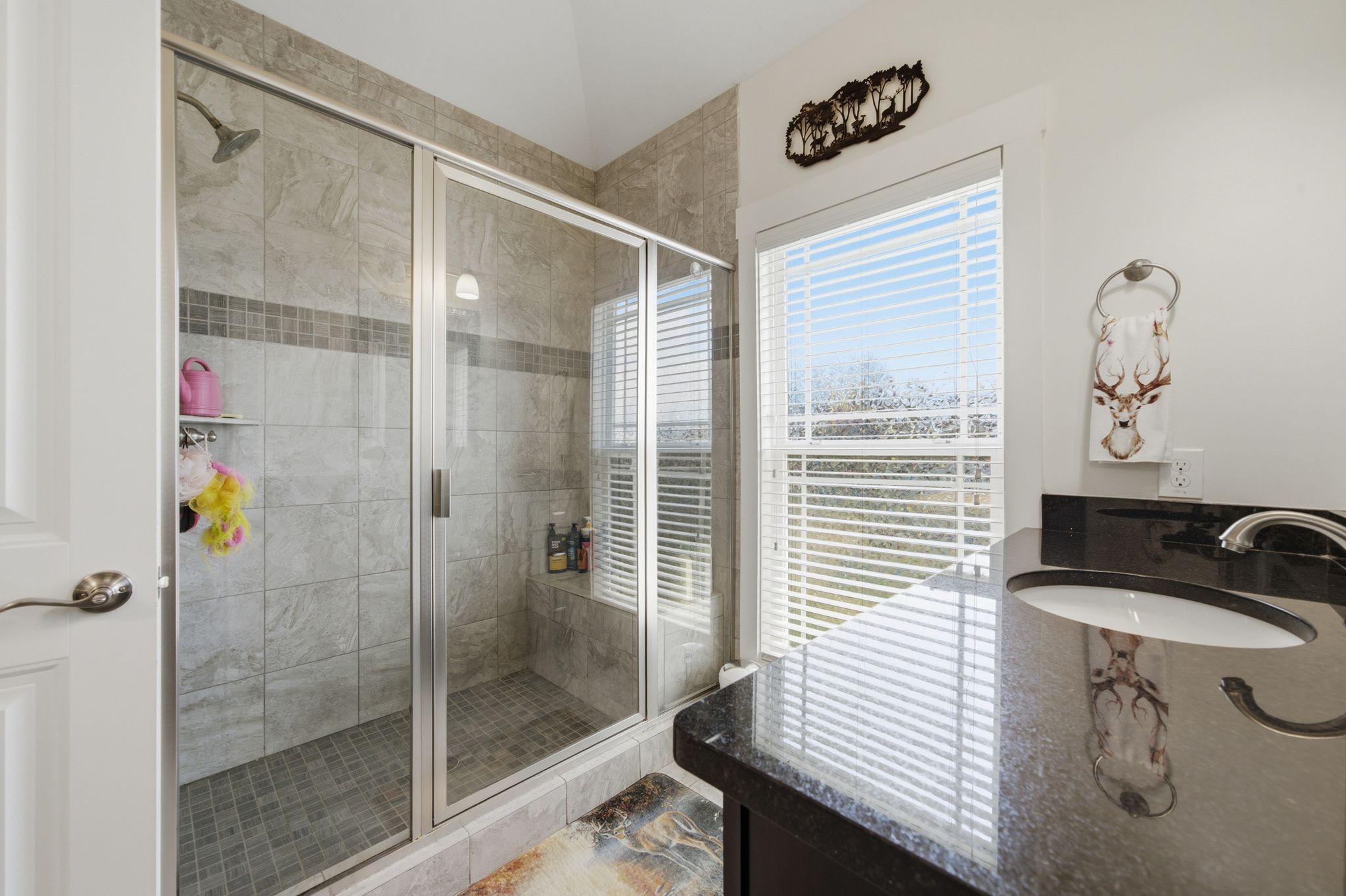 3523 Rabbit Run Trl Property Photo 26