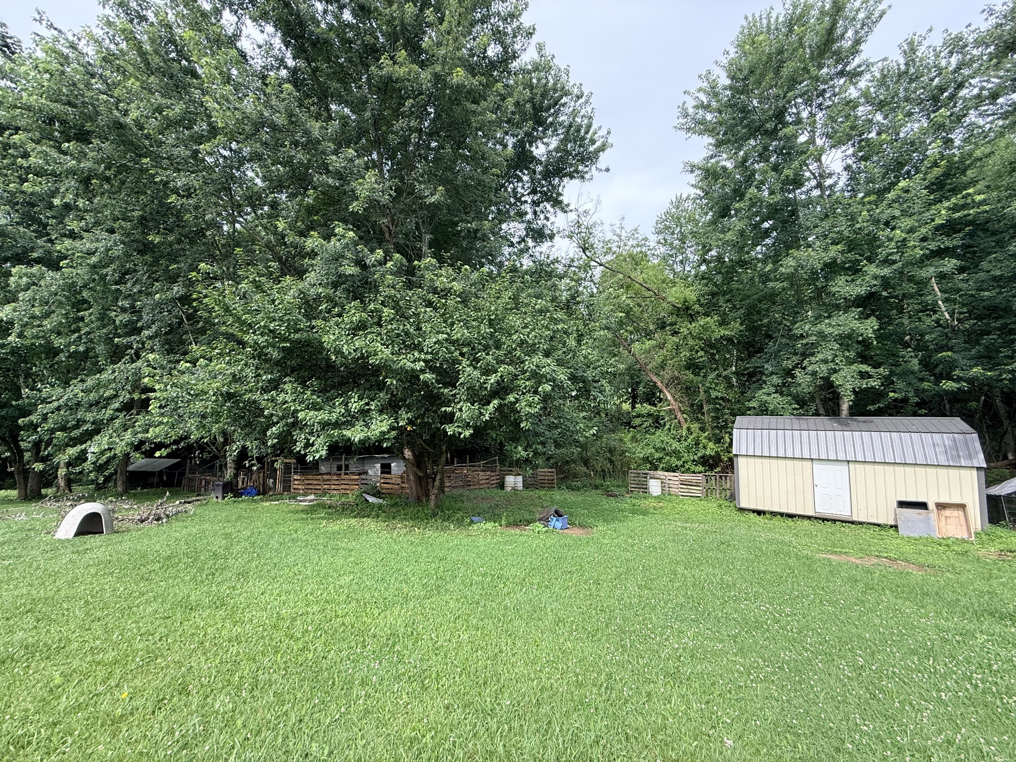 211 Church St Property Photo 23