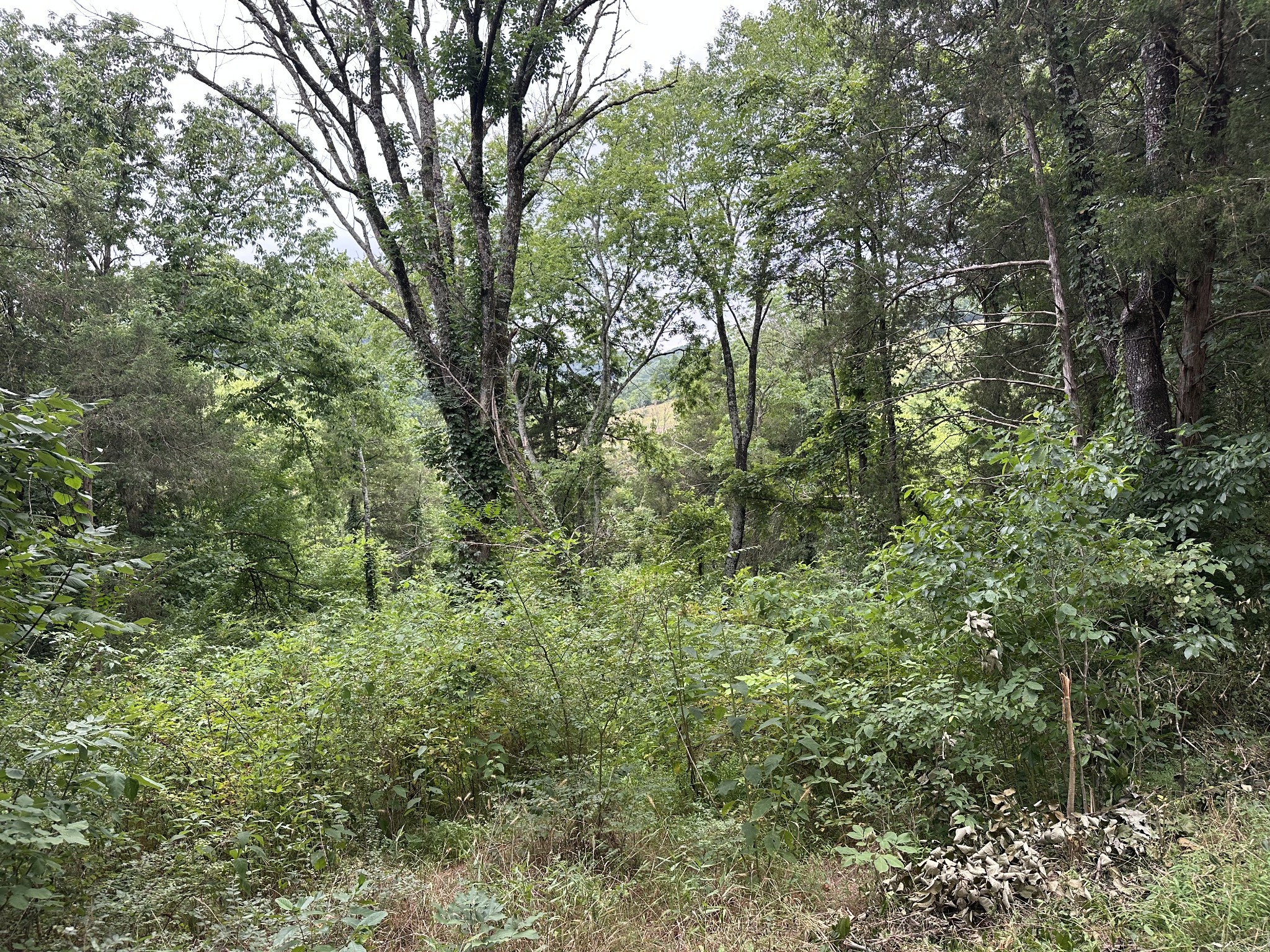 17 Hackett Valley Rd Property Photo 8