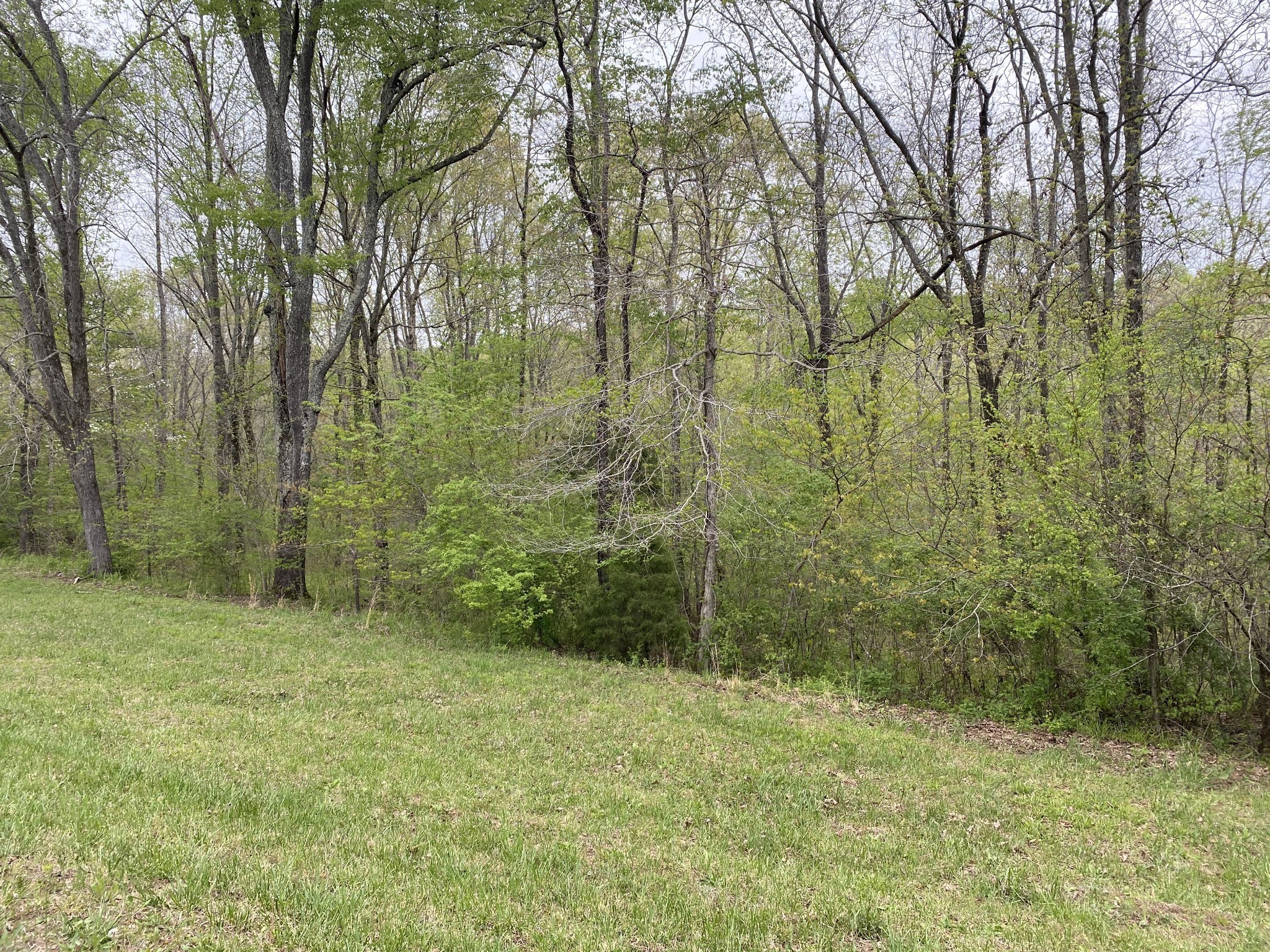 0 Eagle Loop Property Photo 6