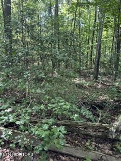 850 Lick Hollow Drive Property Photo 1