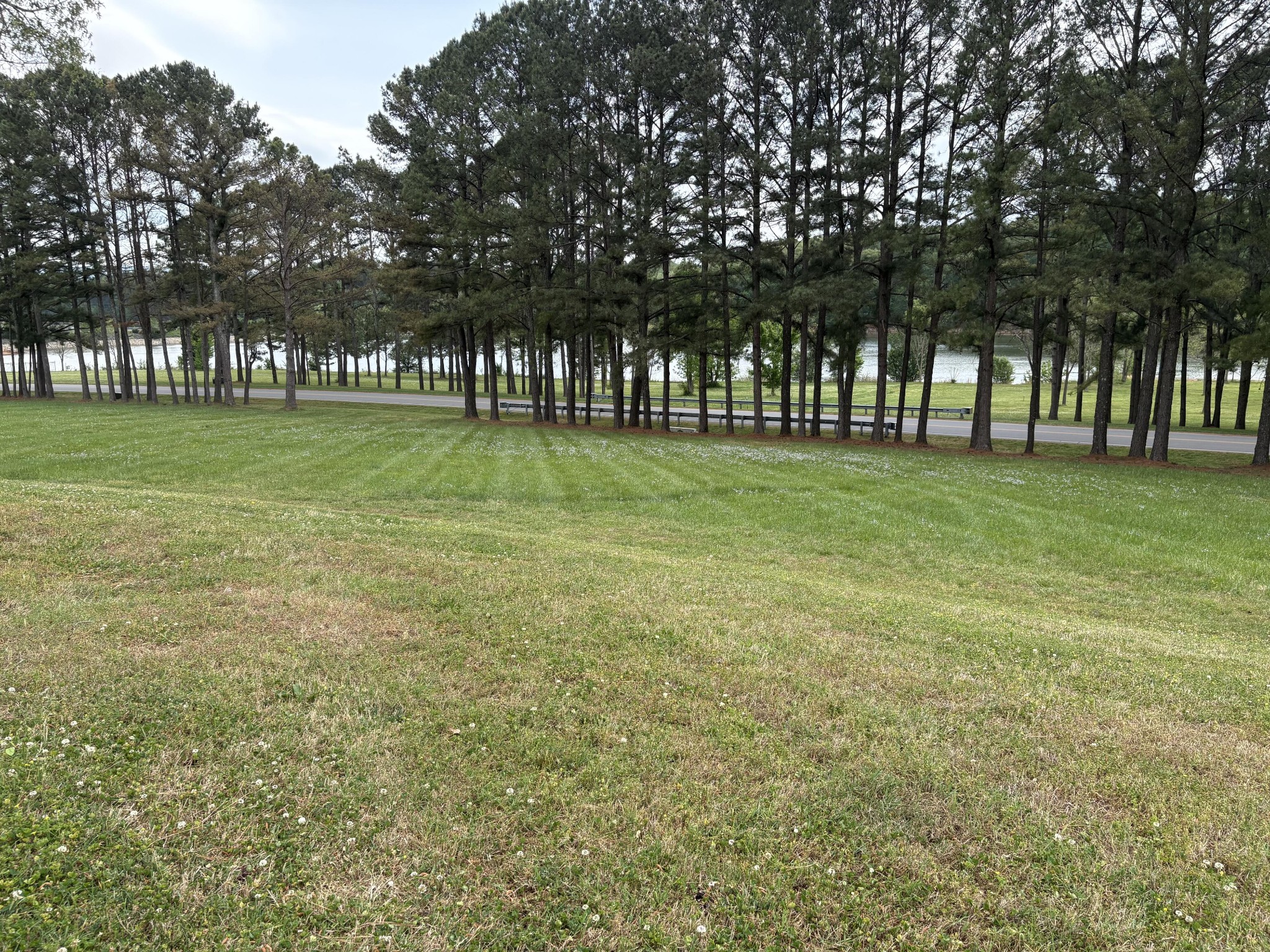 0 Dry Fork Dr Property Photo 1