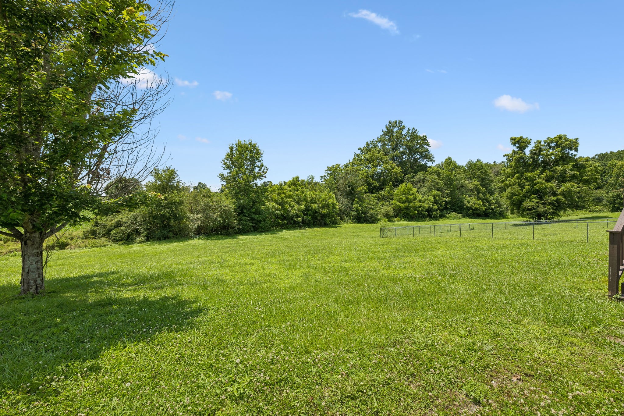 174 Mavis Dr Property Photo 44