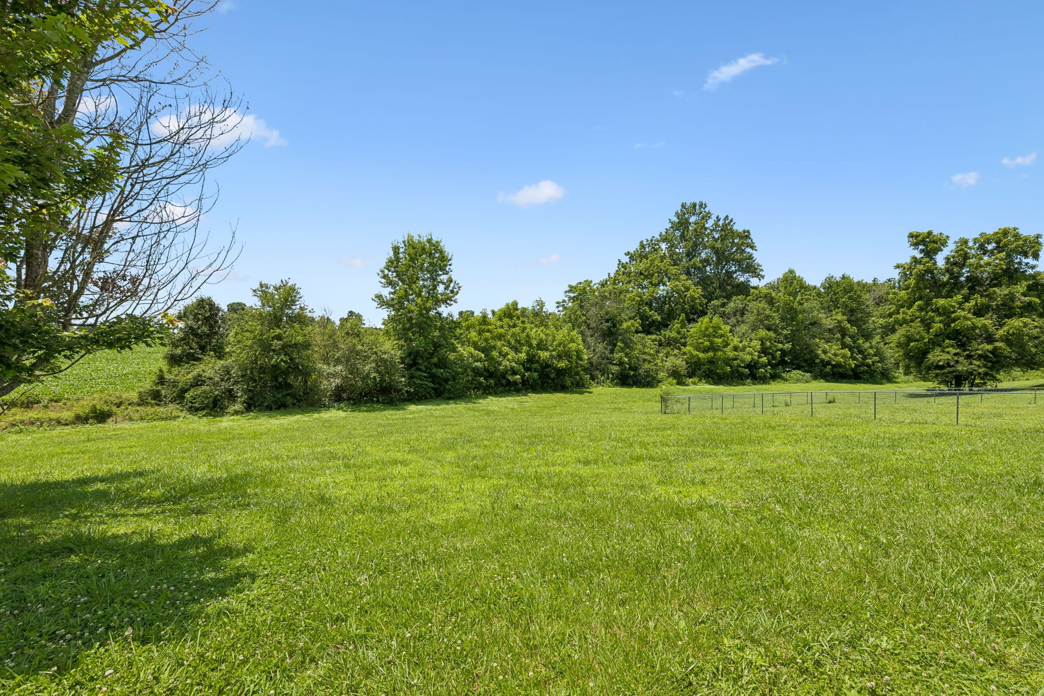 174 Mavis Dr Property Photo 45
