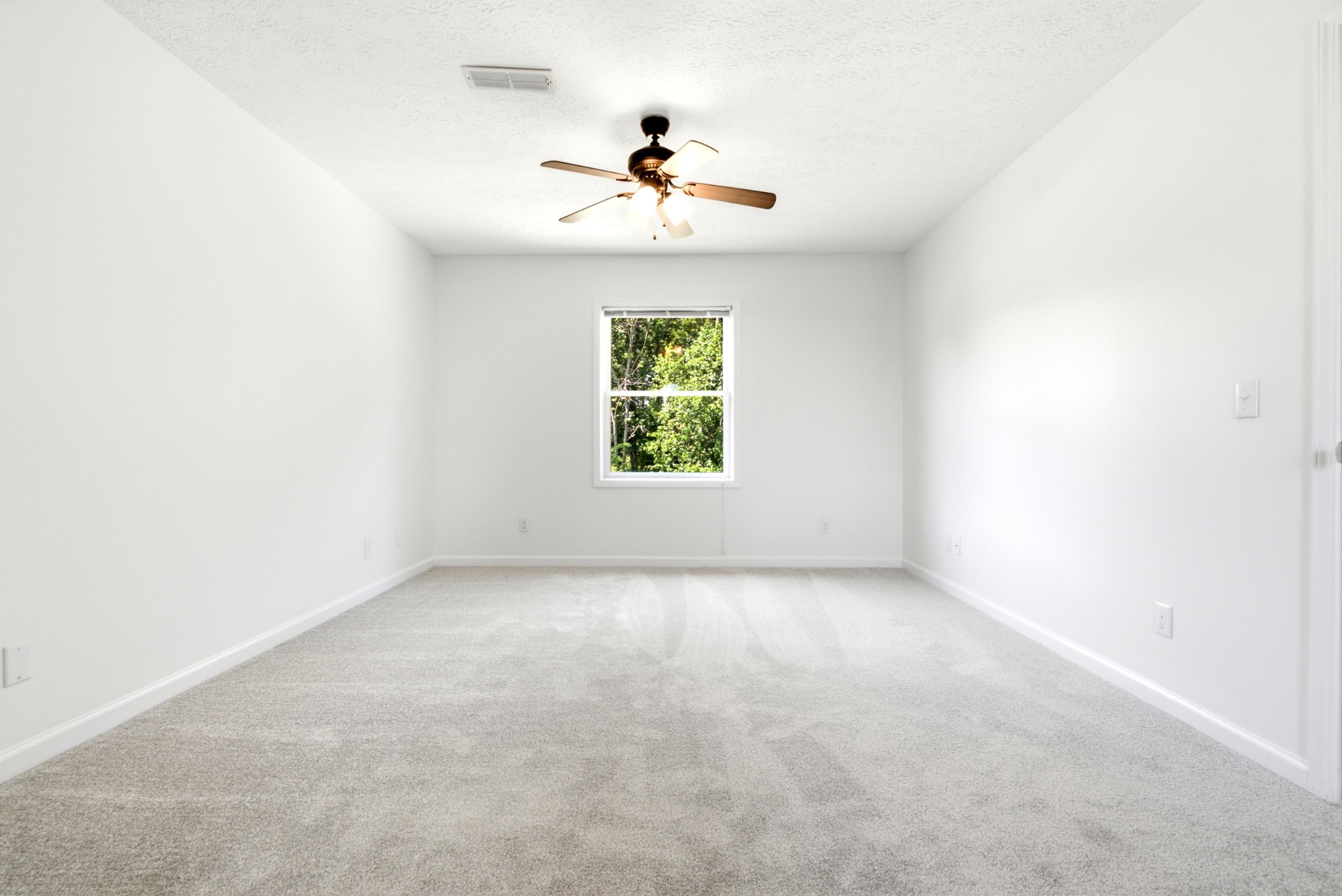 3434 Kinneys Rd Property Photo 41