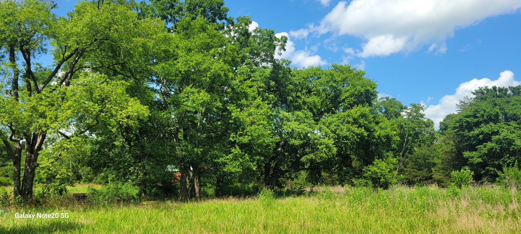 2 Clem Creek Rd Property Photo 1