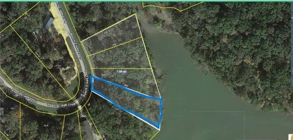 2997 Beech Creek Loop Property Photo 2