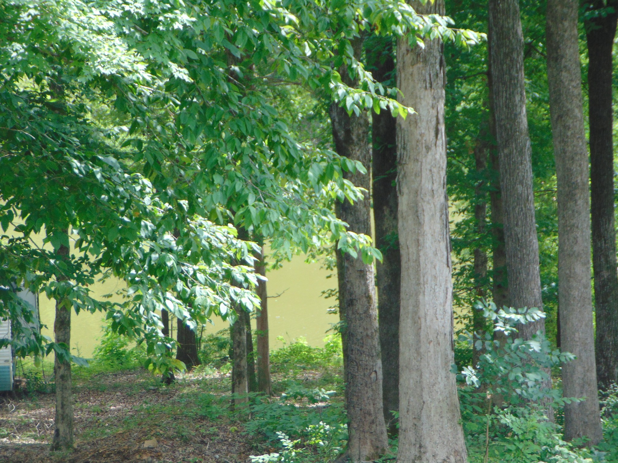 2997 Beech Creek Loop Property Photo 6