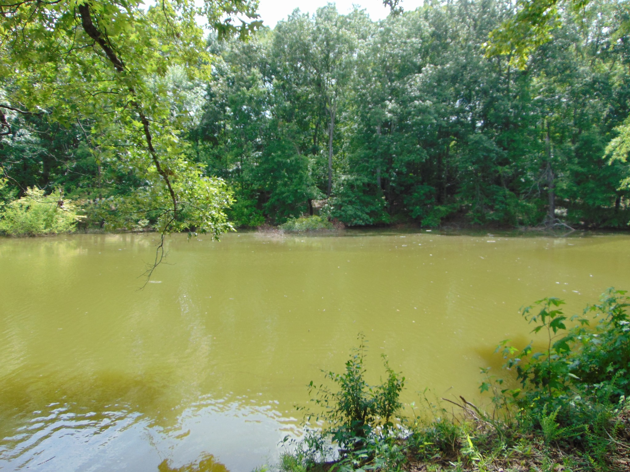 2997 Beech Creek Loop Property Photo 8