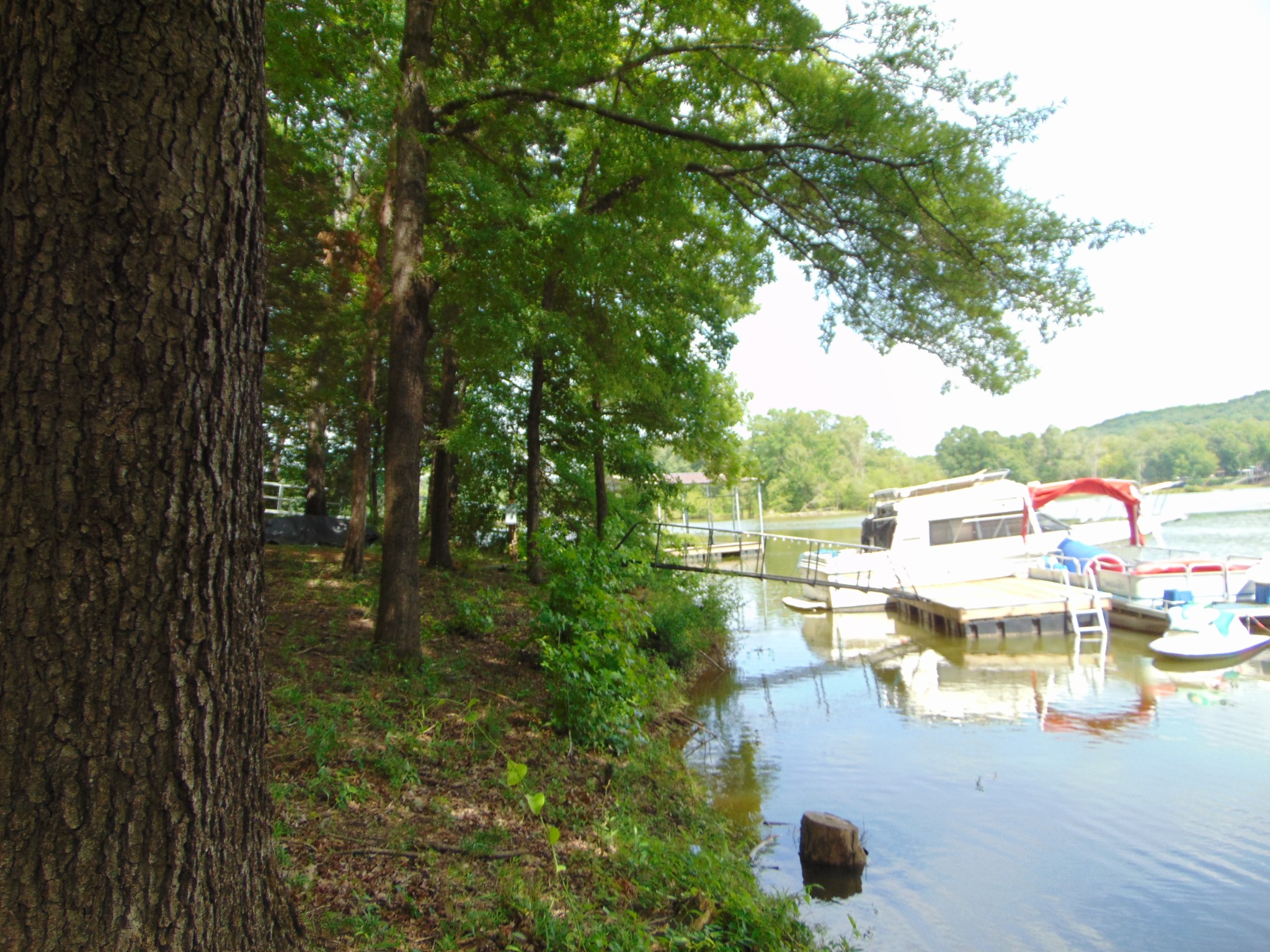 2997 Beech Creek Loop Property Photo 10