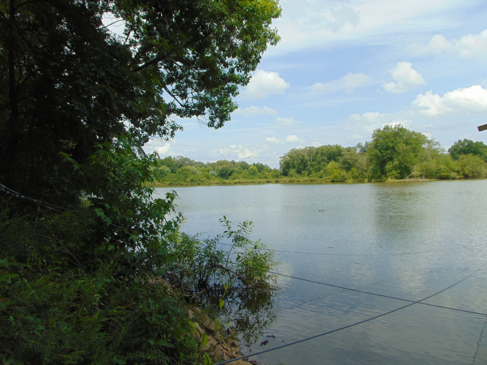 2997 Beech Creek Loop Property Photo 13