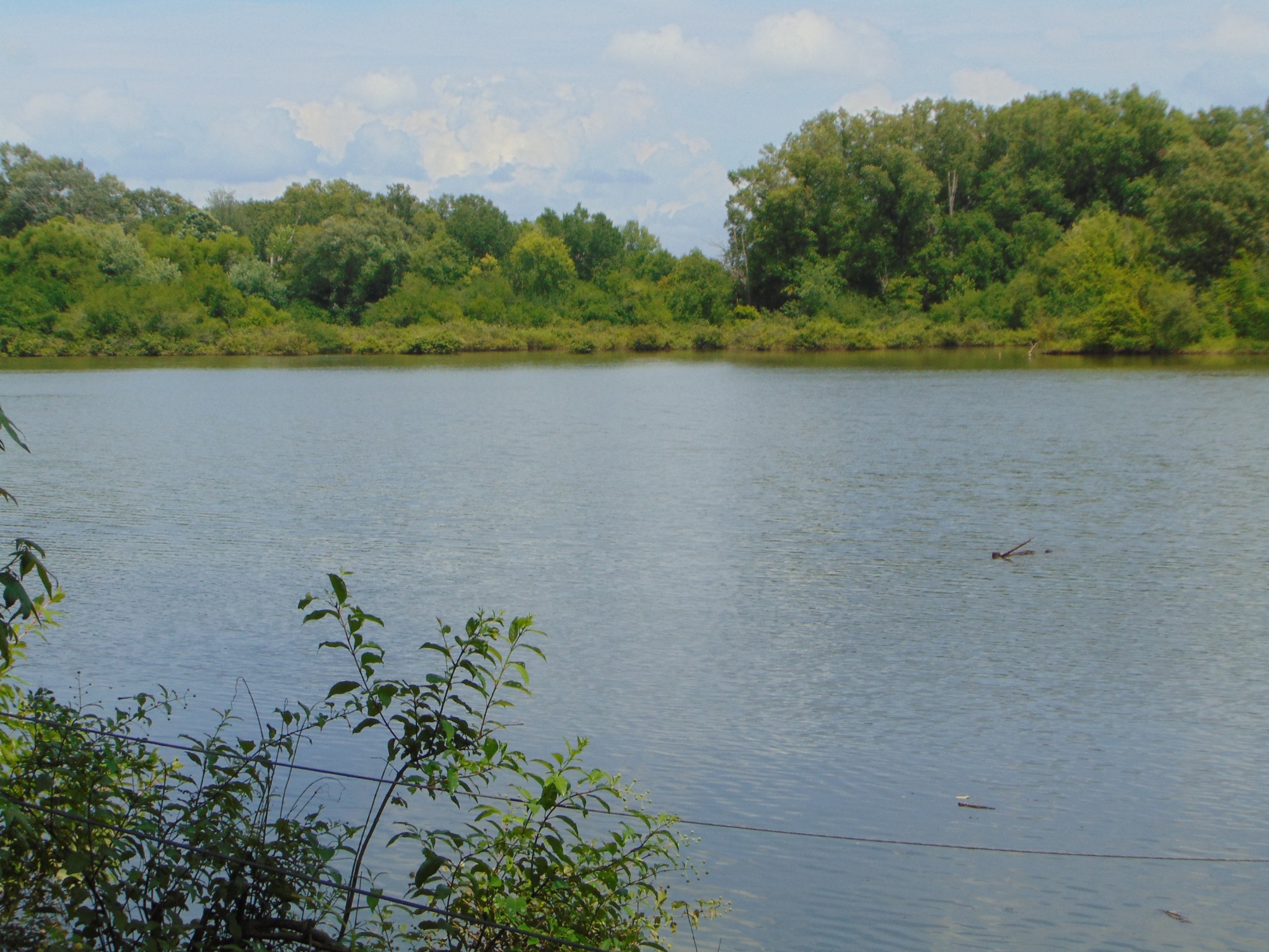 2997 Beech Creek Loop Property Photo 15