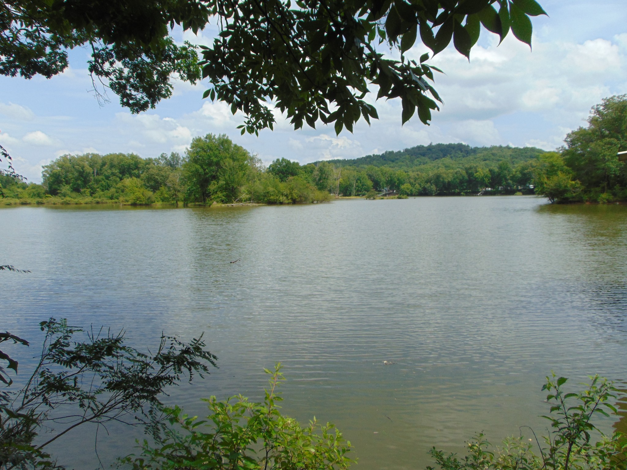 2997 Beech Creek Loop Property Photo 16