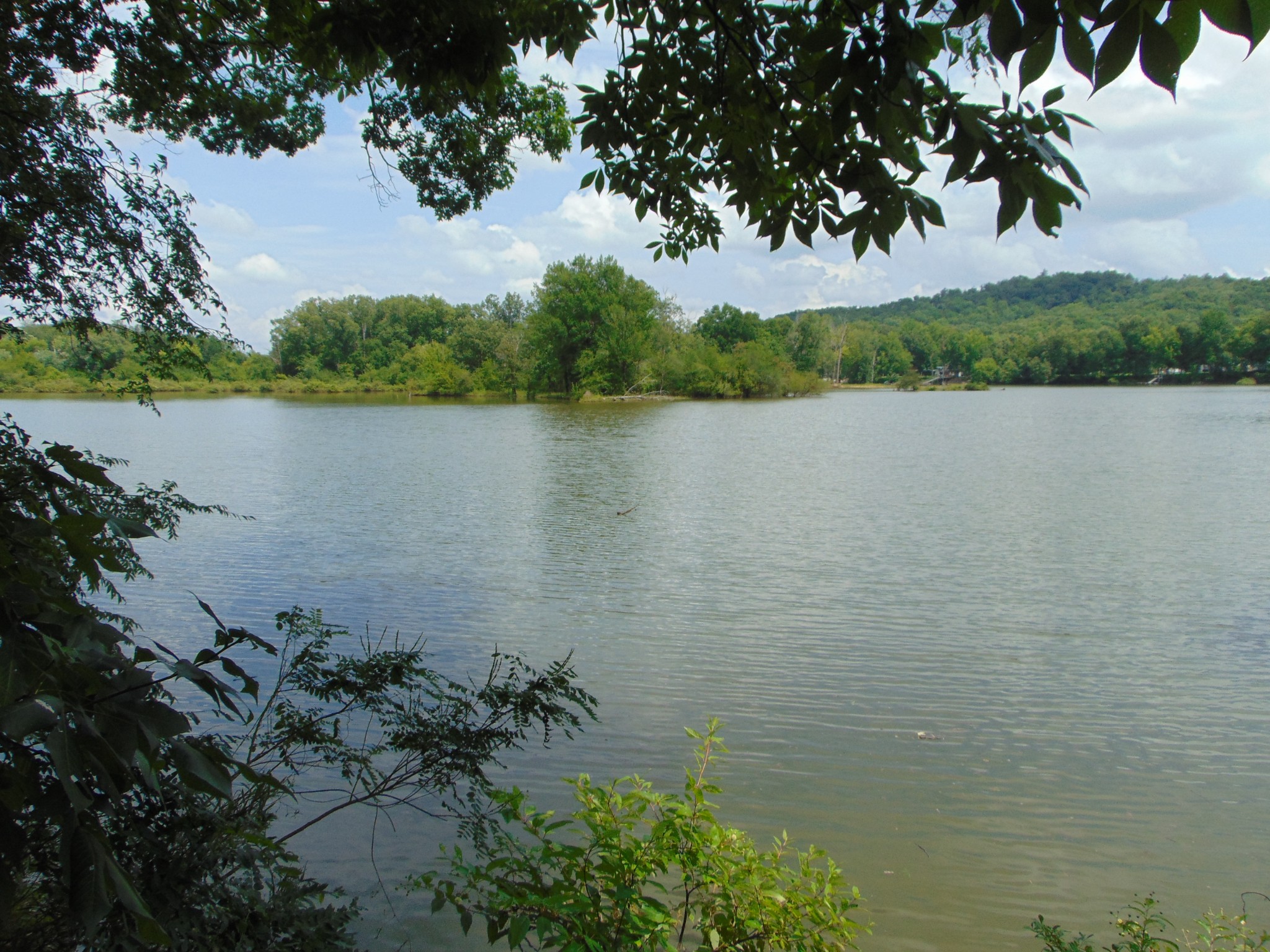2997 Beech Creek Loop Property Photo 17