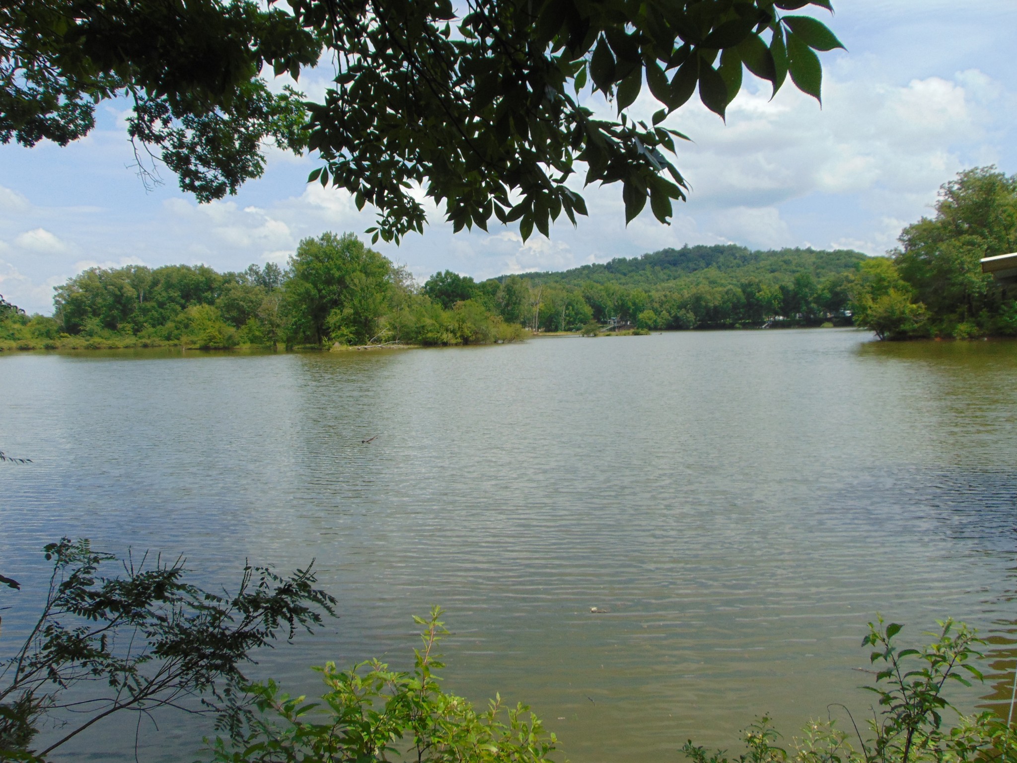 2997 Beech Creek Loop Property Photo 18