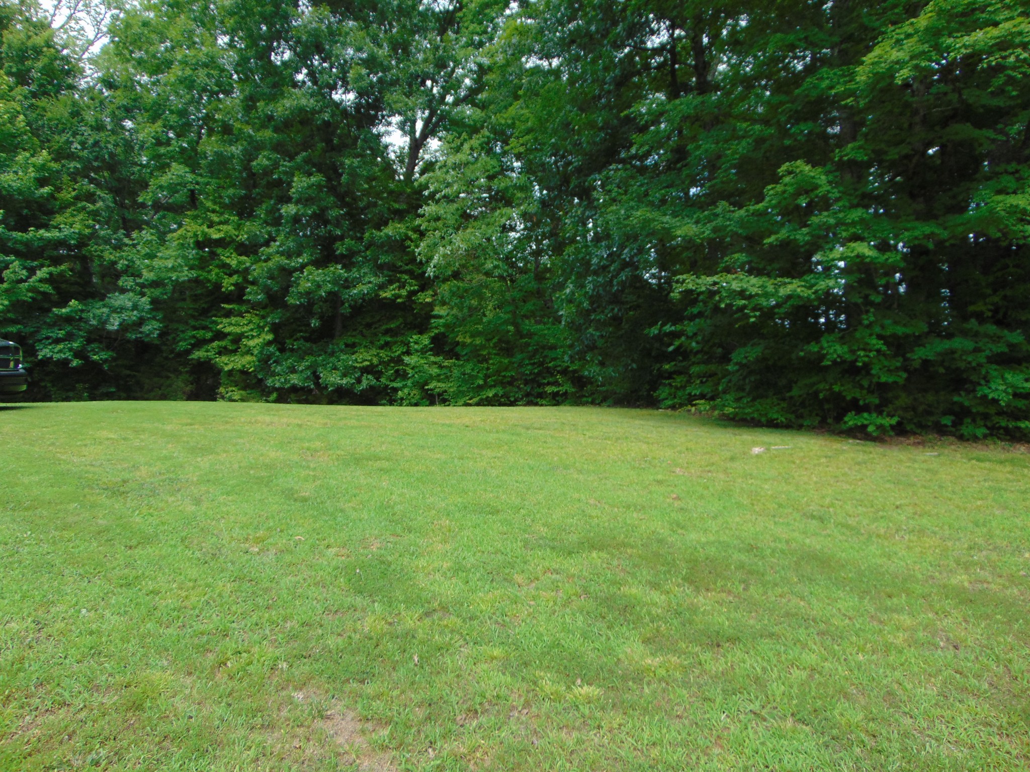 2997 Beech Creek Loop Property Photo 21