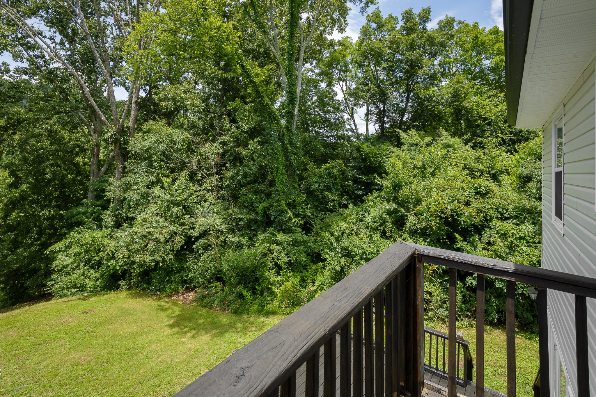 1435 County Road 413 Property Photo 39