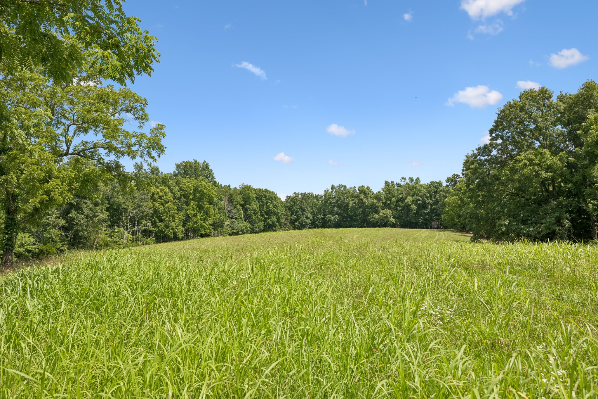 7700 Daugherty Capley Rd Property Photo 3