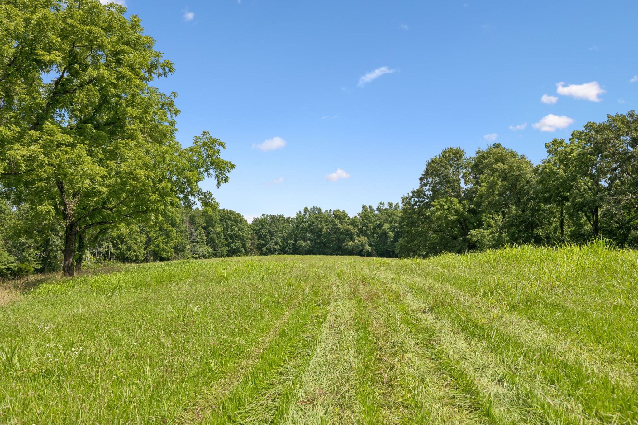 7700 Daugherty Capley Rd Property Photo 4
