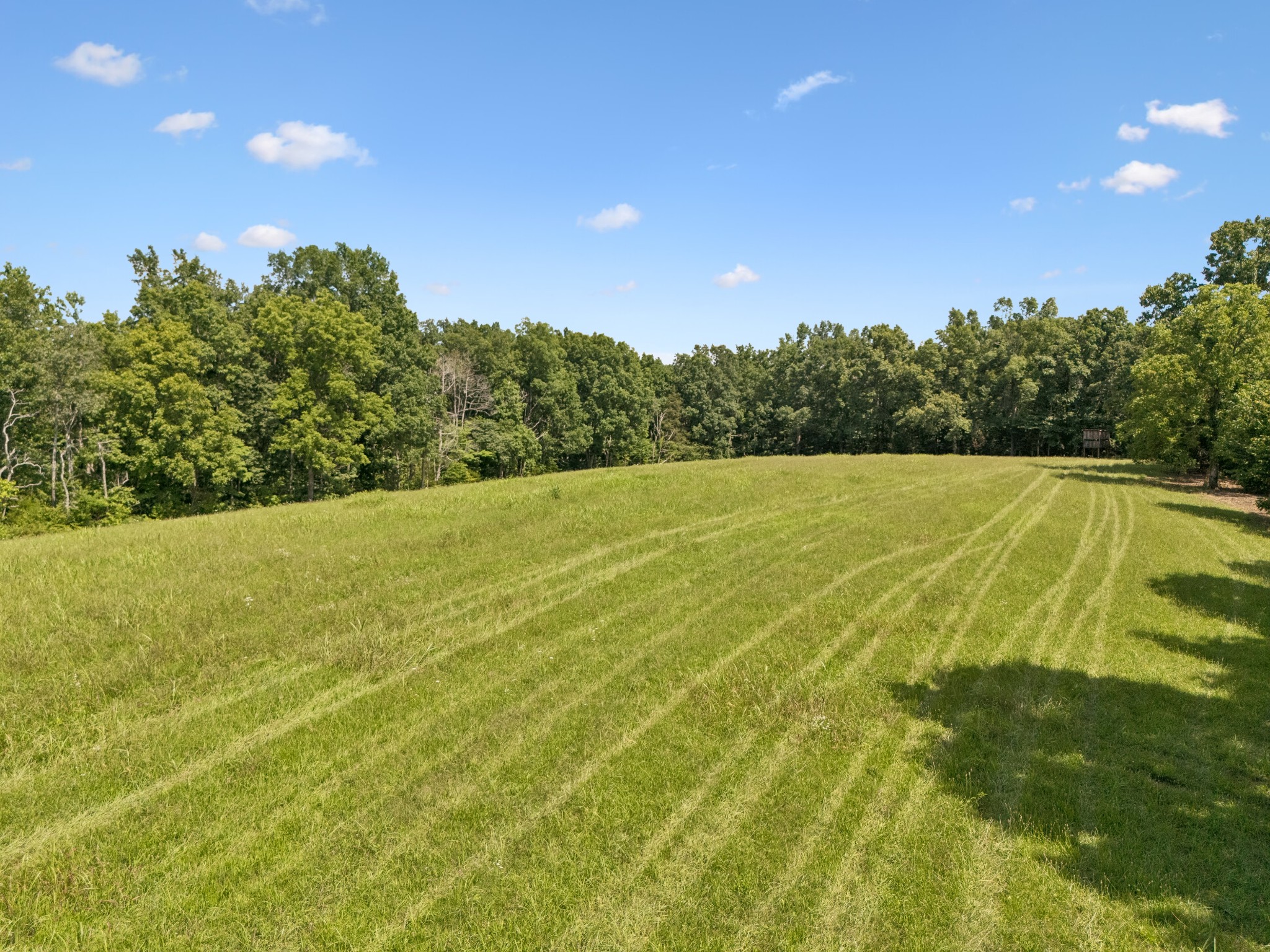 7700 Daugherty Capley Rd Property Photo 5