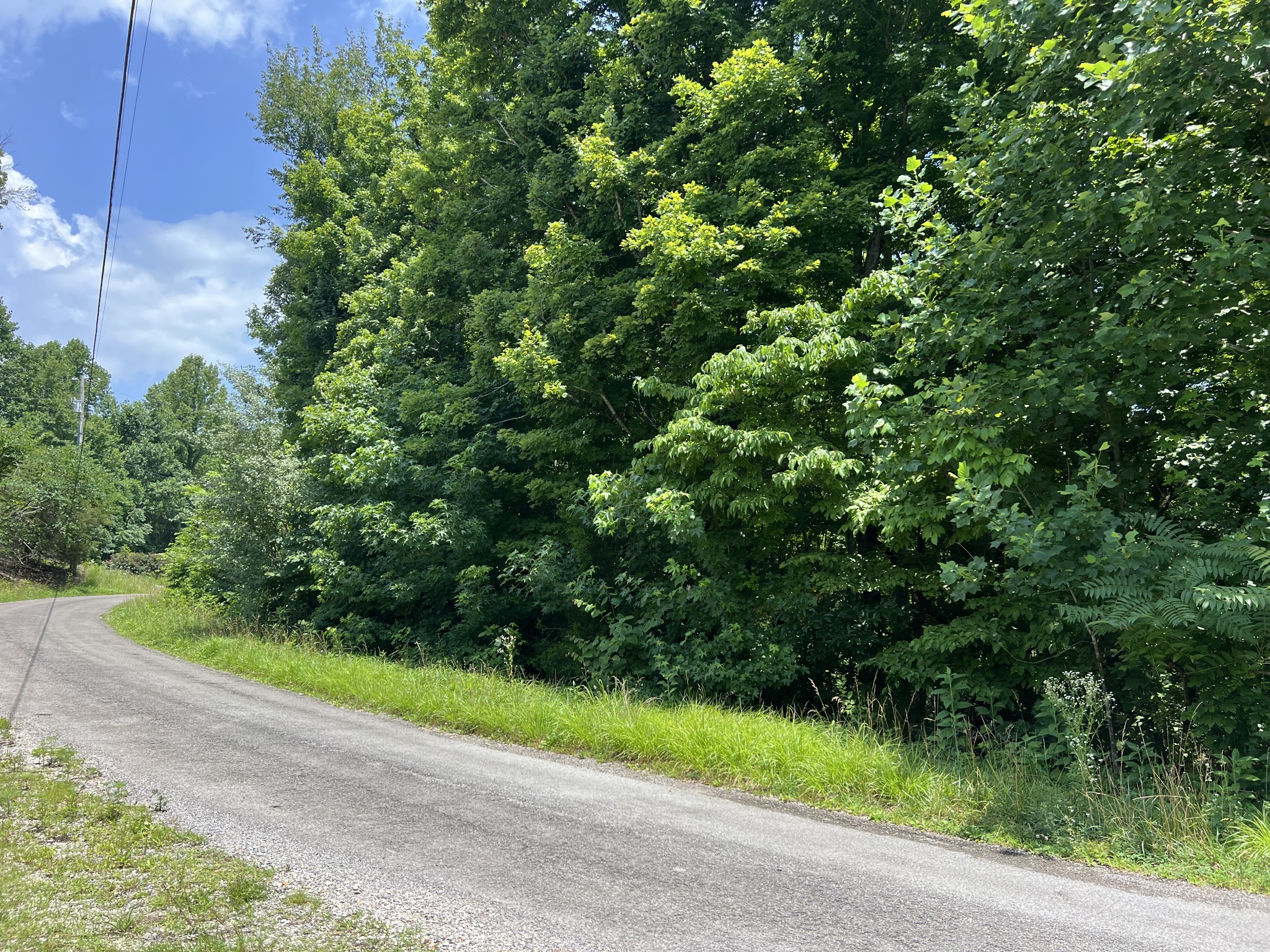 0 Lafever Ridge Rd Property Photo 1