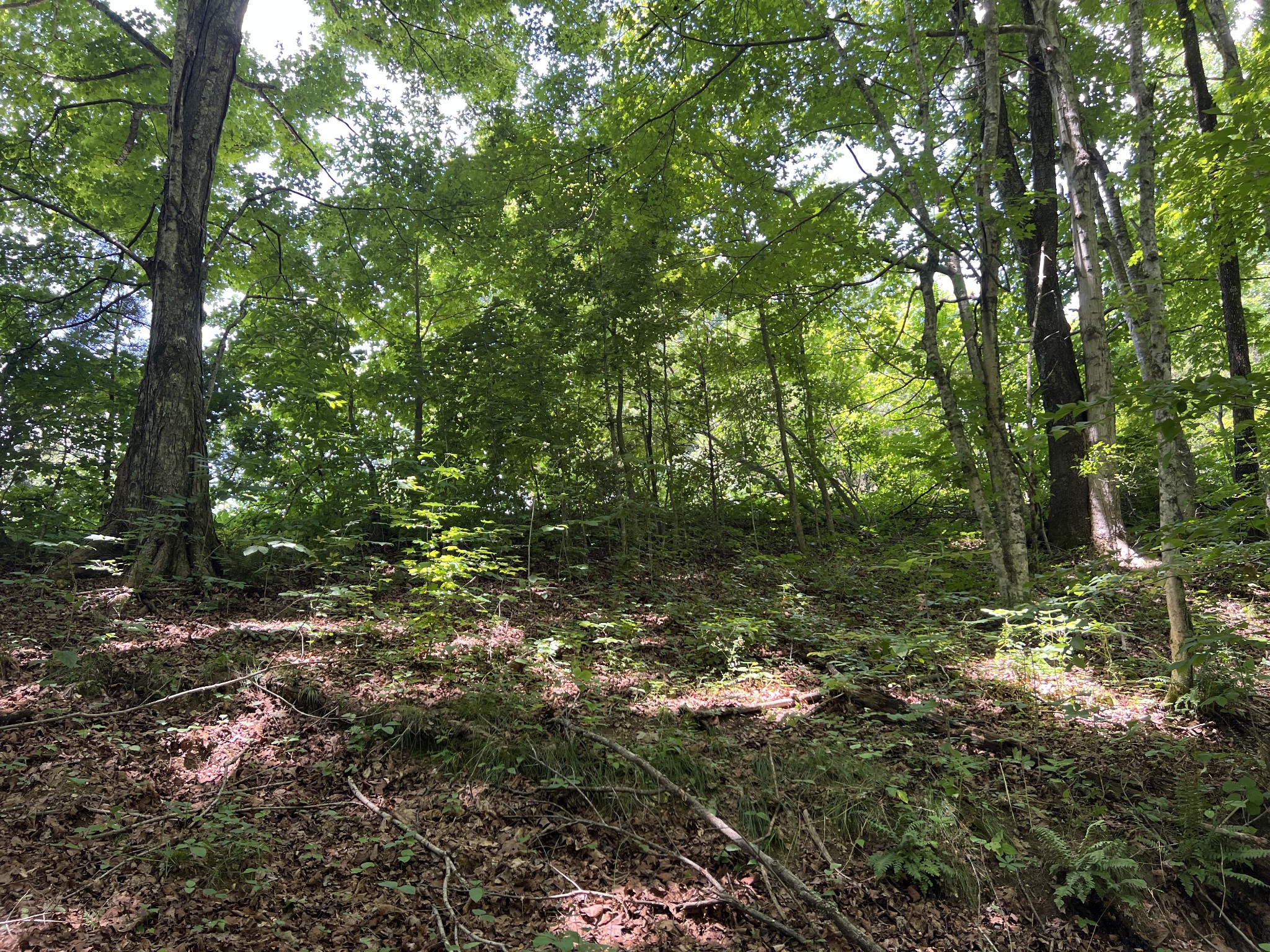 0 Lafever Ridge Rd Property Photo 5