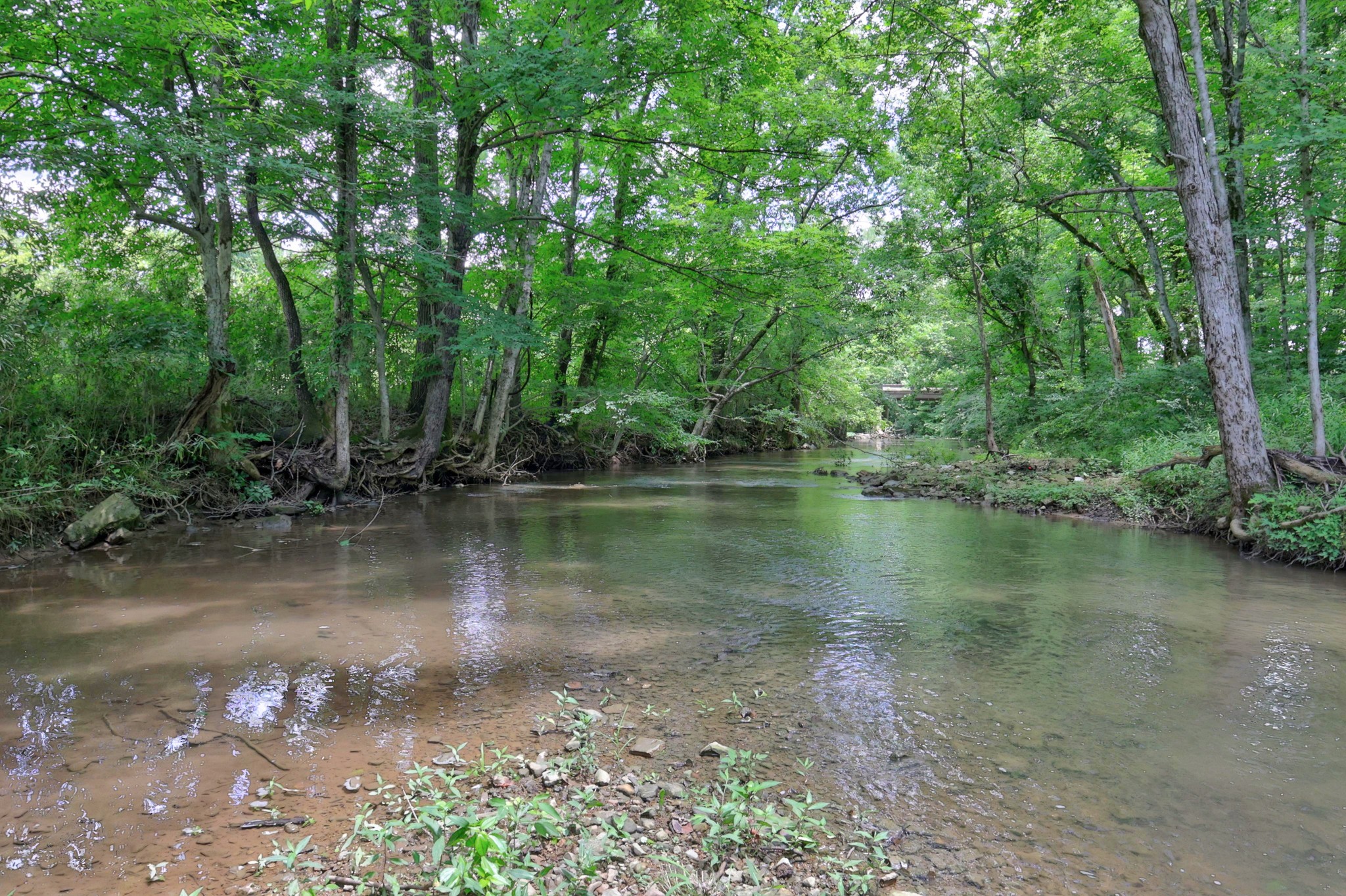 1213 Rock Church Rd Property Photo 69