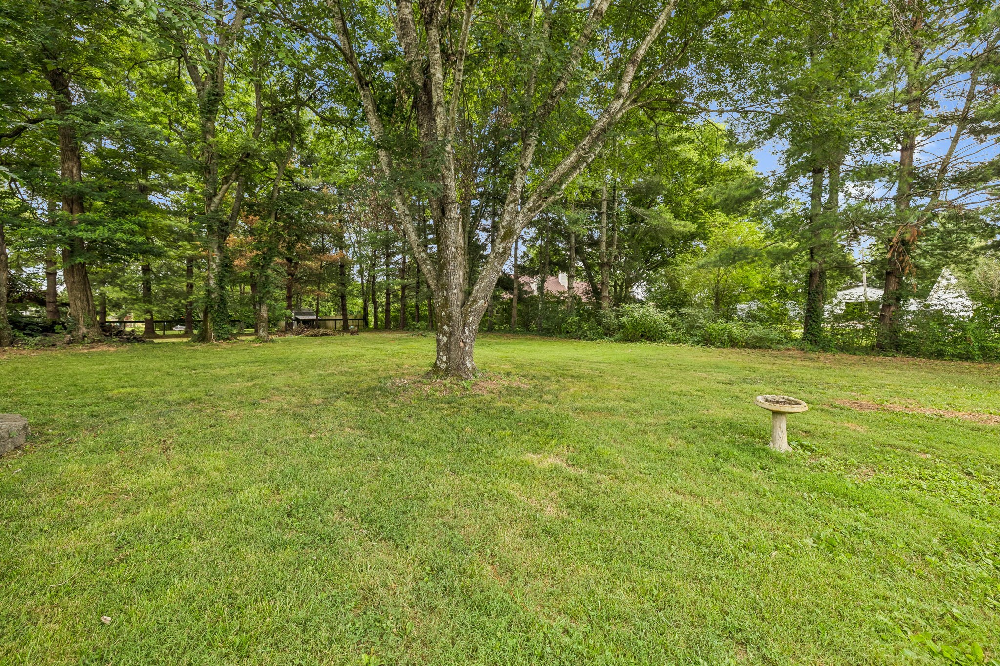 5633 Constantine Dr Property Photo 54