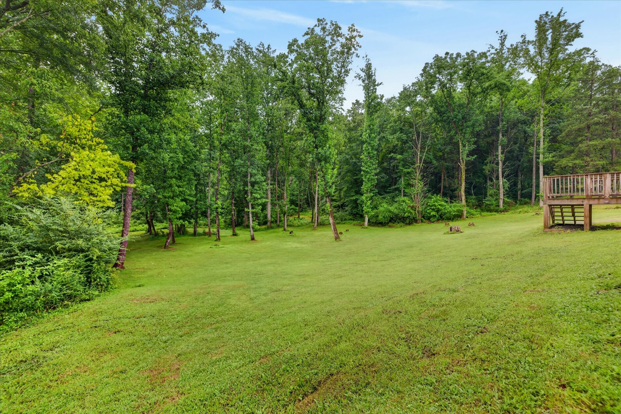 446 The Trace Property Photo 22