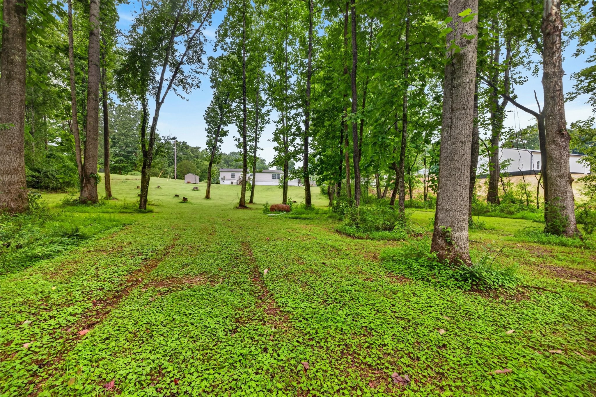 446 The Trace Property Photo 25