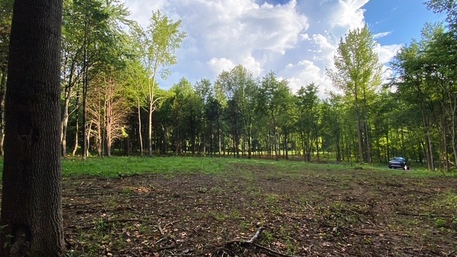 7884 Bill Moss Rd Property Photo 1