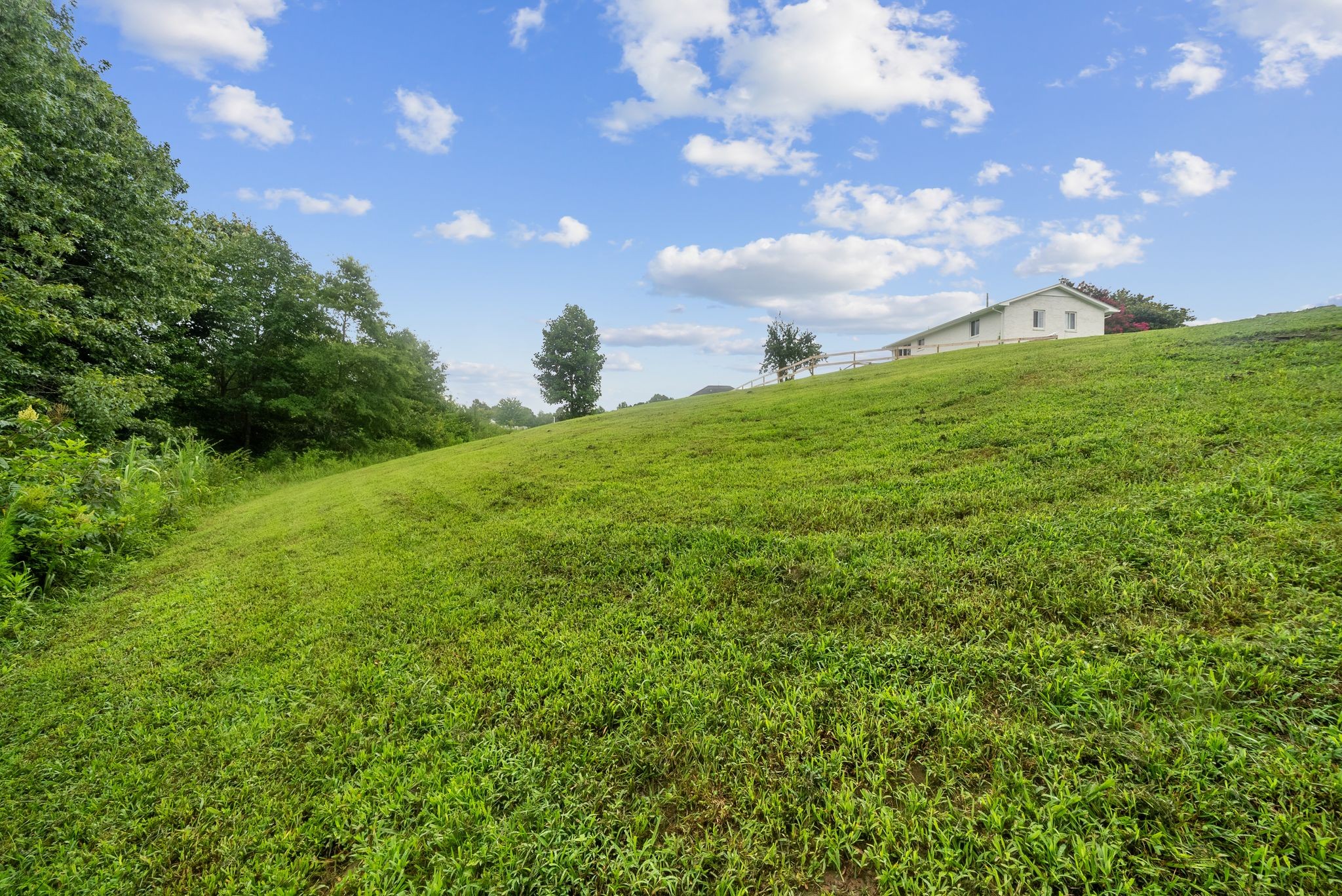 2308 Rhea Branch Rd Property Photo 32