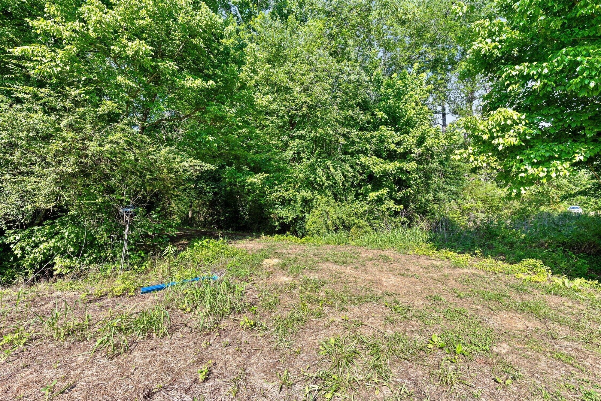 0 Hildabrand Road Property Photo 34