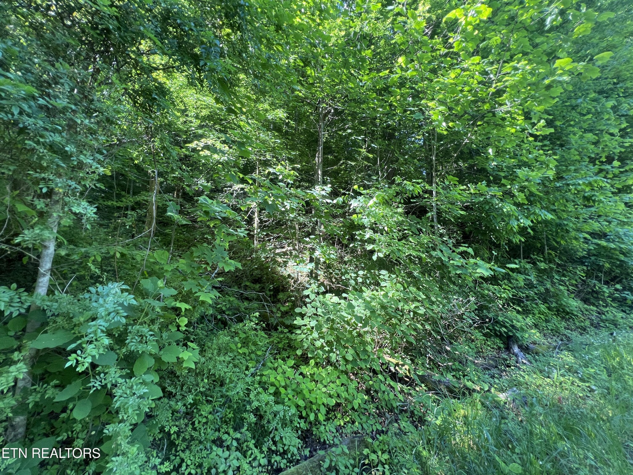 0 Apache Rd Property Photo 2