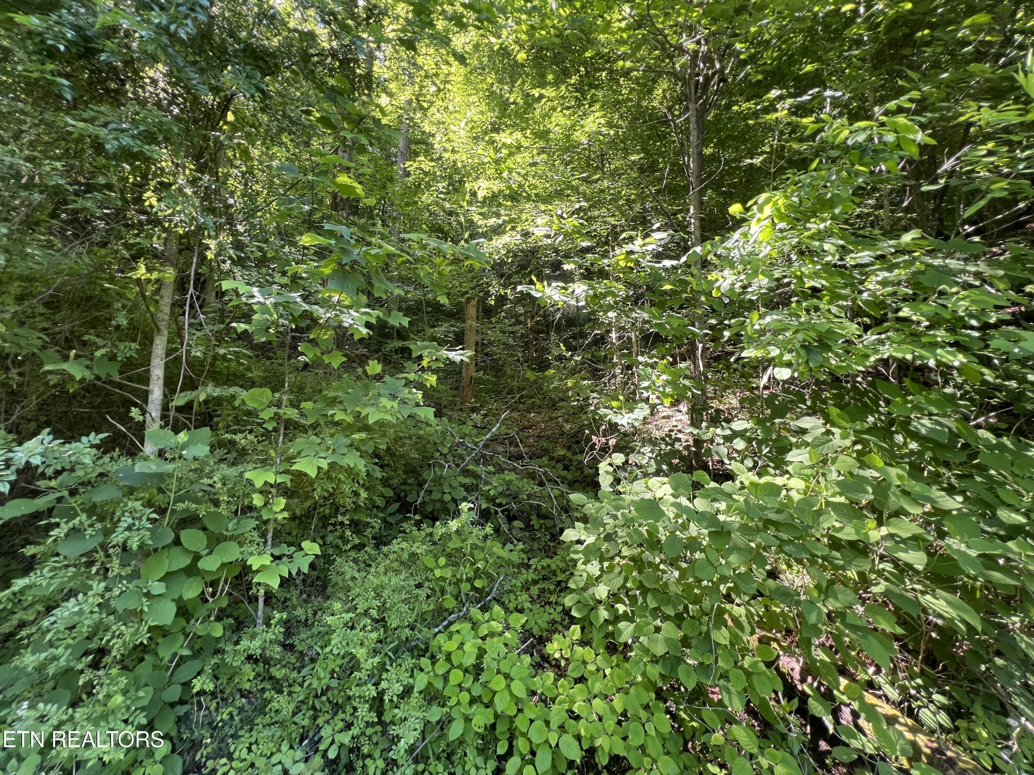 0 Apache Rd Property Photo 3