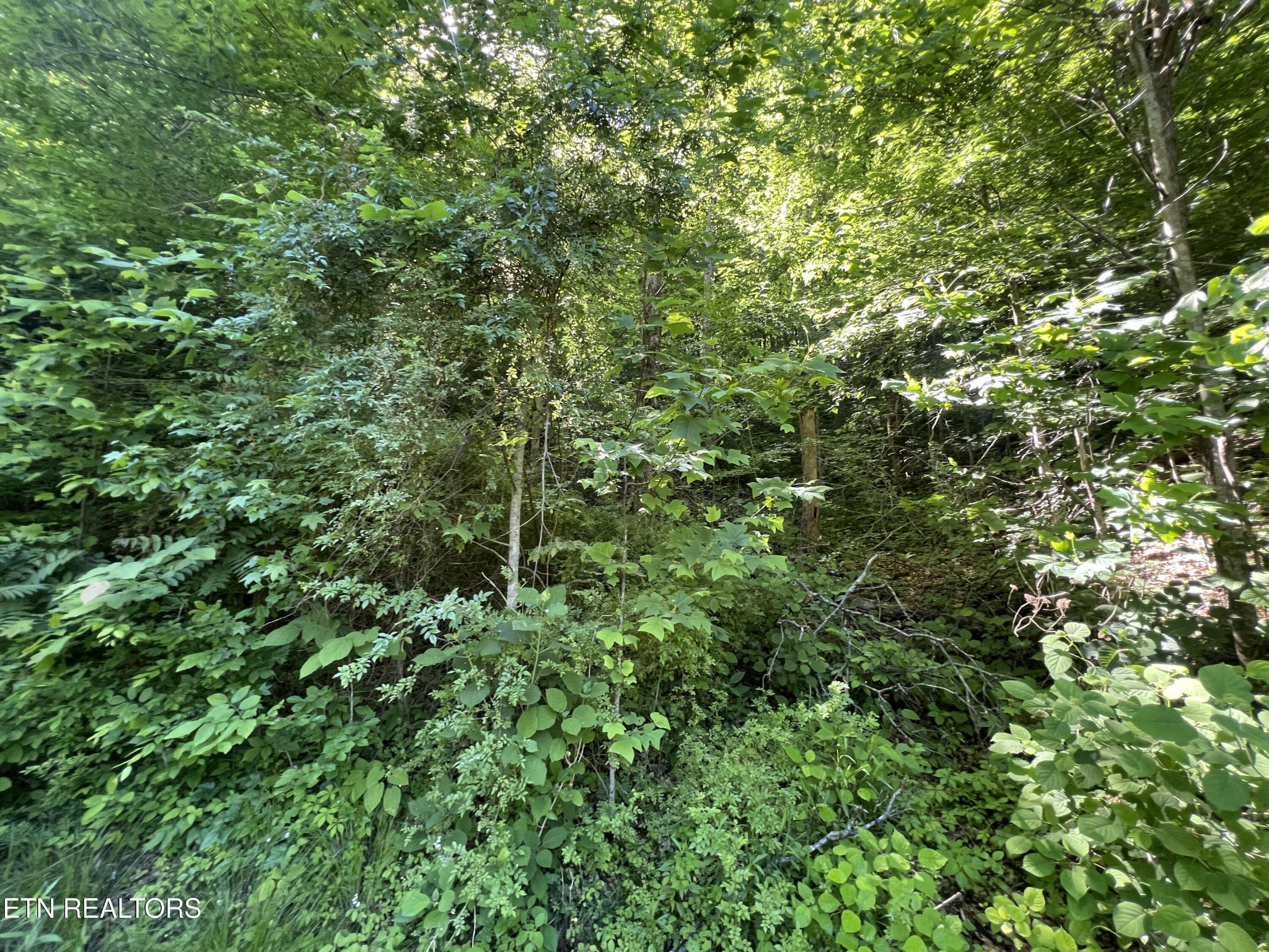 0 Apache Rd Property Photo 4