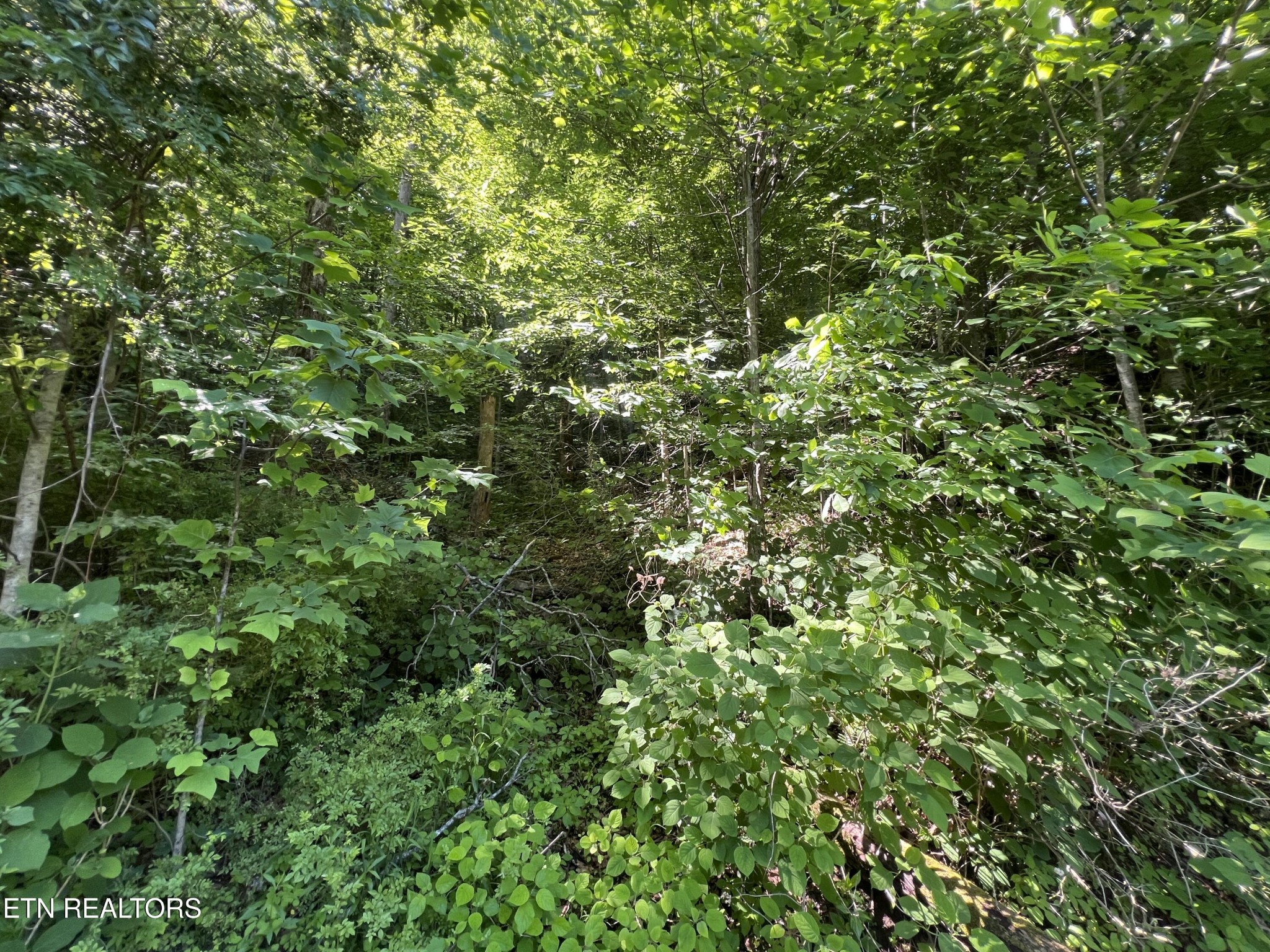 0 Apache Rd Property Photo 5