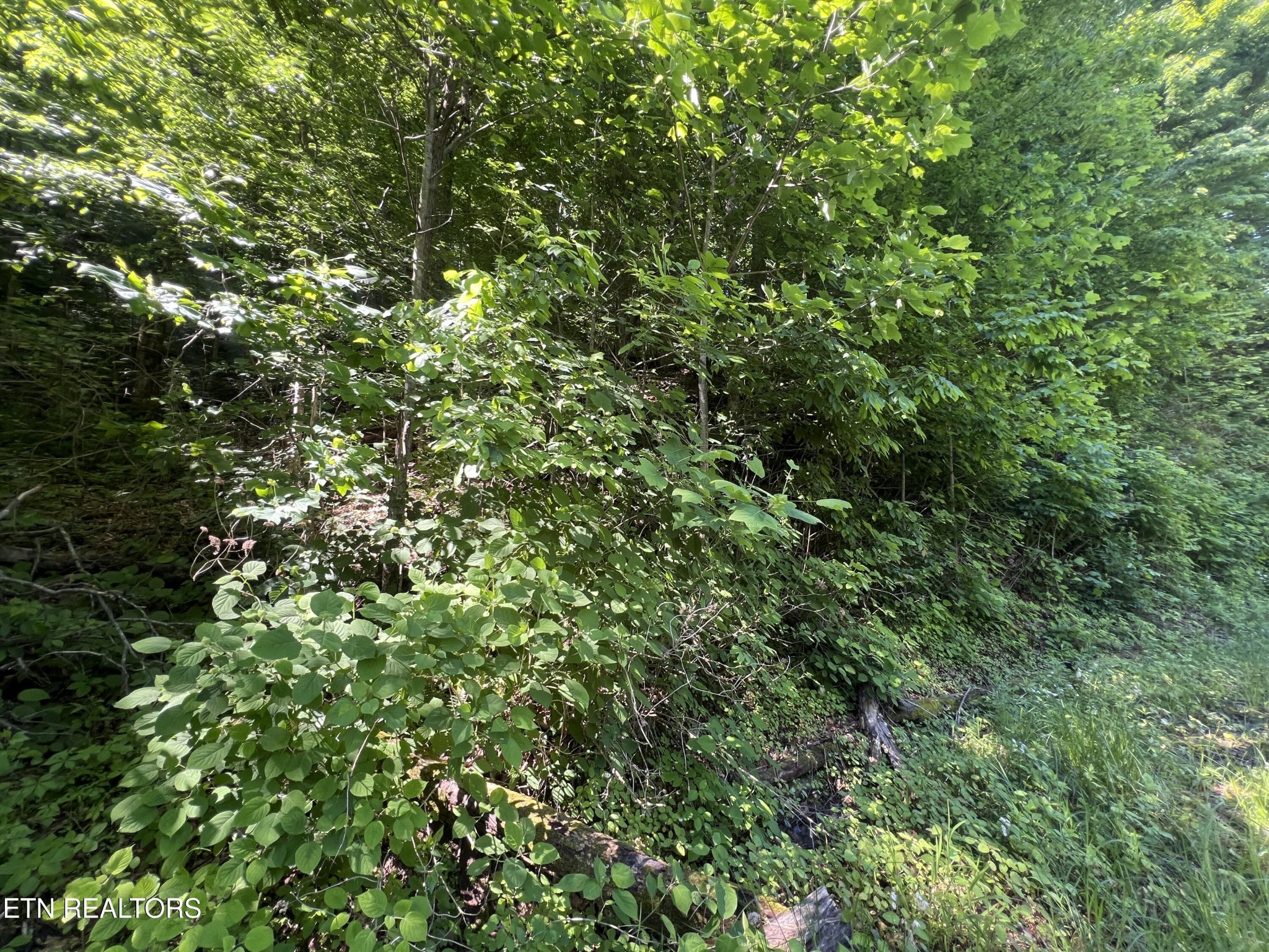0 Apache Rd Property Photo 6