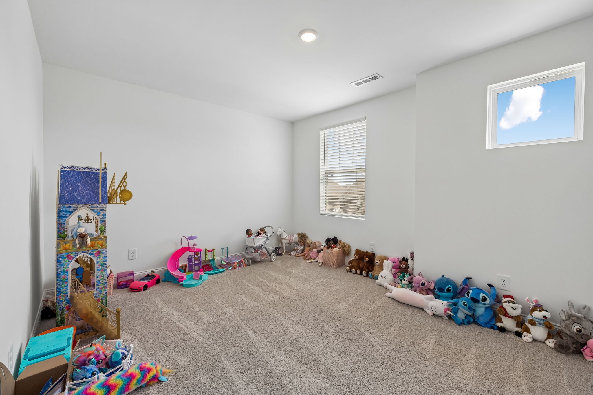 3613 Elene Way Property Photo 34