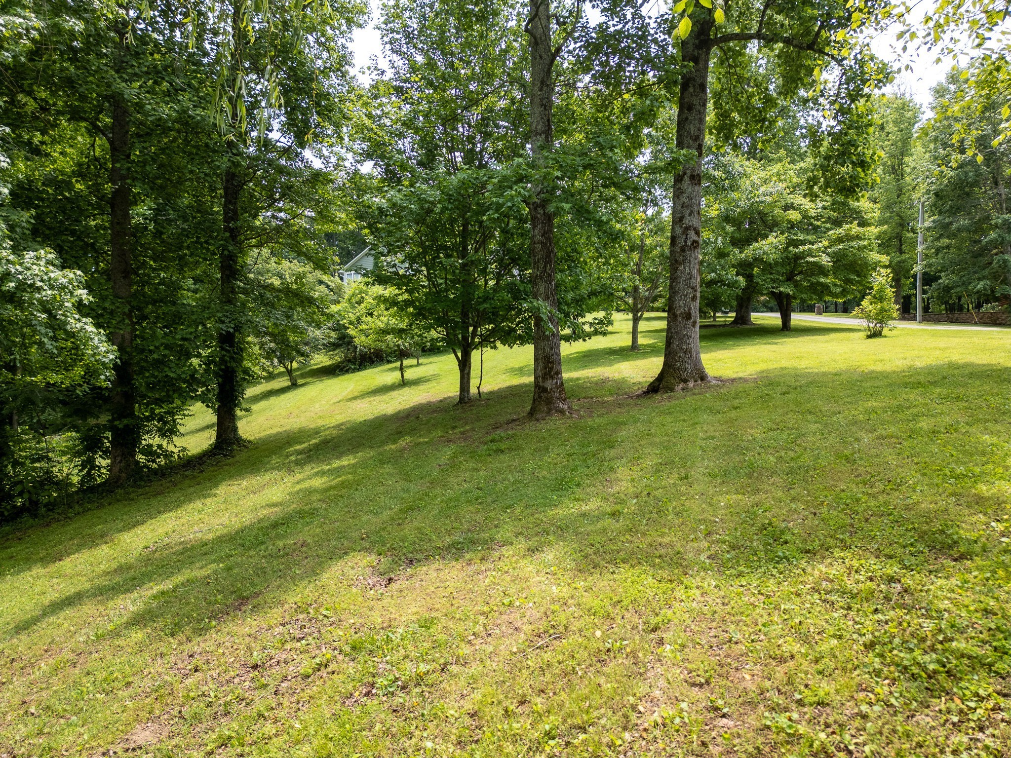 1 Lafever Ridge Rd Property Photo 4