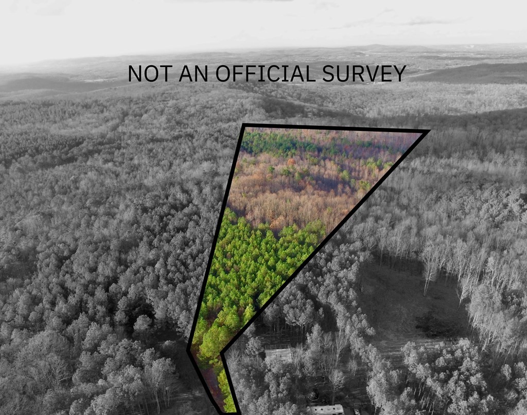 0 Topside Dr Property Photo 2