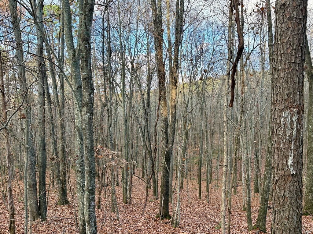 0 Topside Dr Property Photo 7