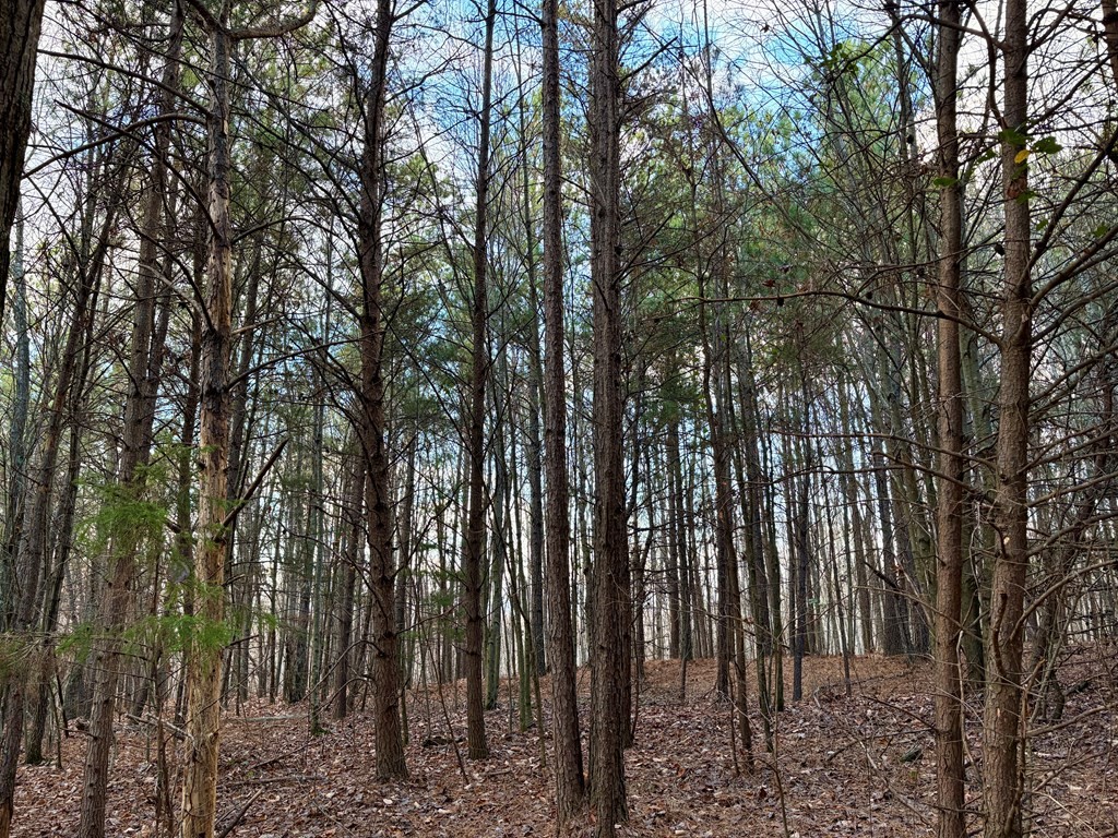 0 Topside Dr Property Photo 11