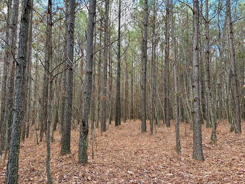 0 Topside Dr Property Photo 13