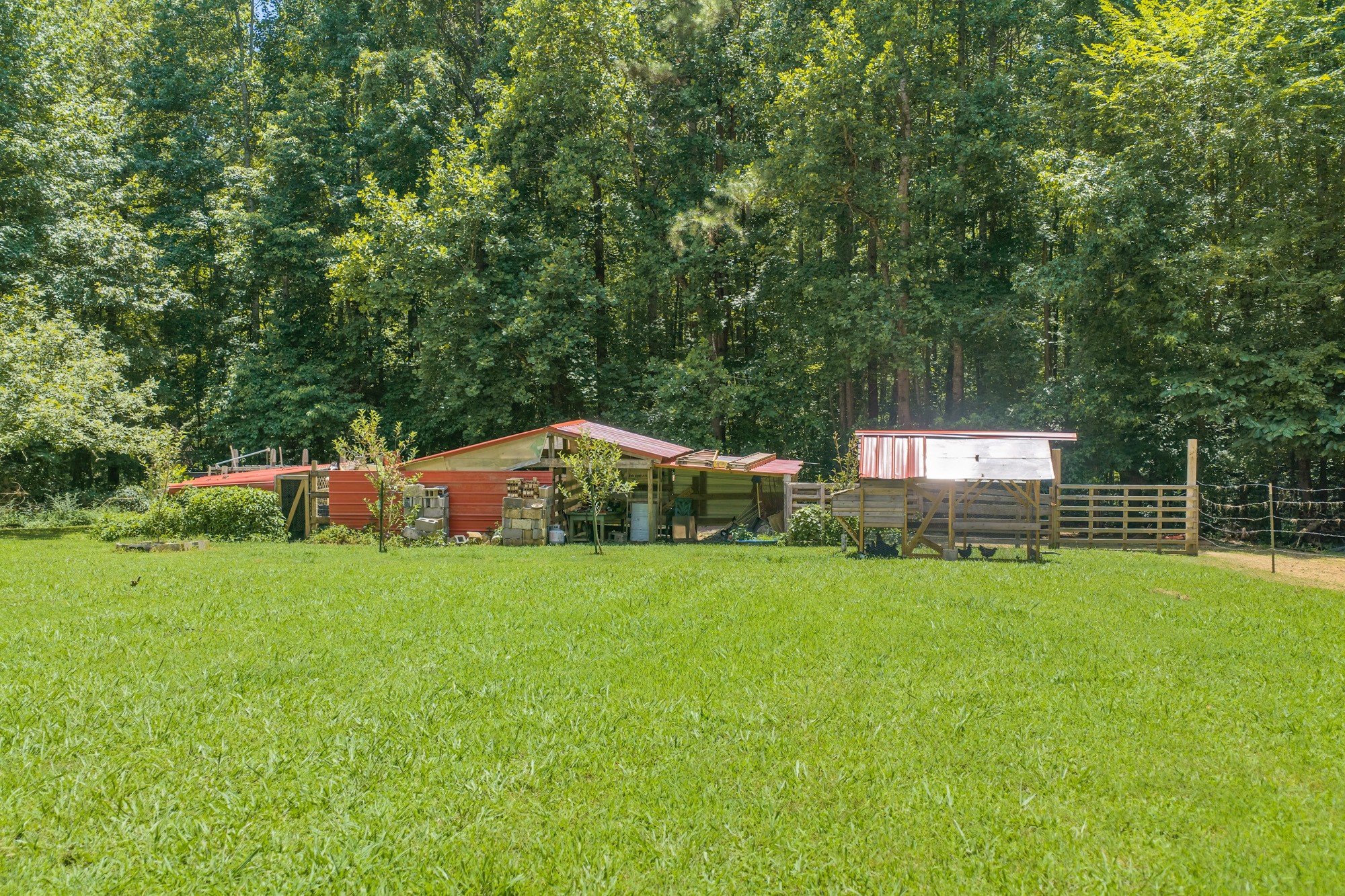 38 Doe Creek Rd Property Photo 32