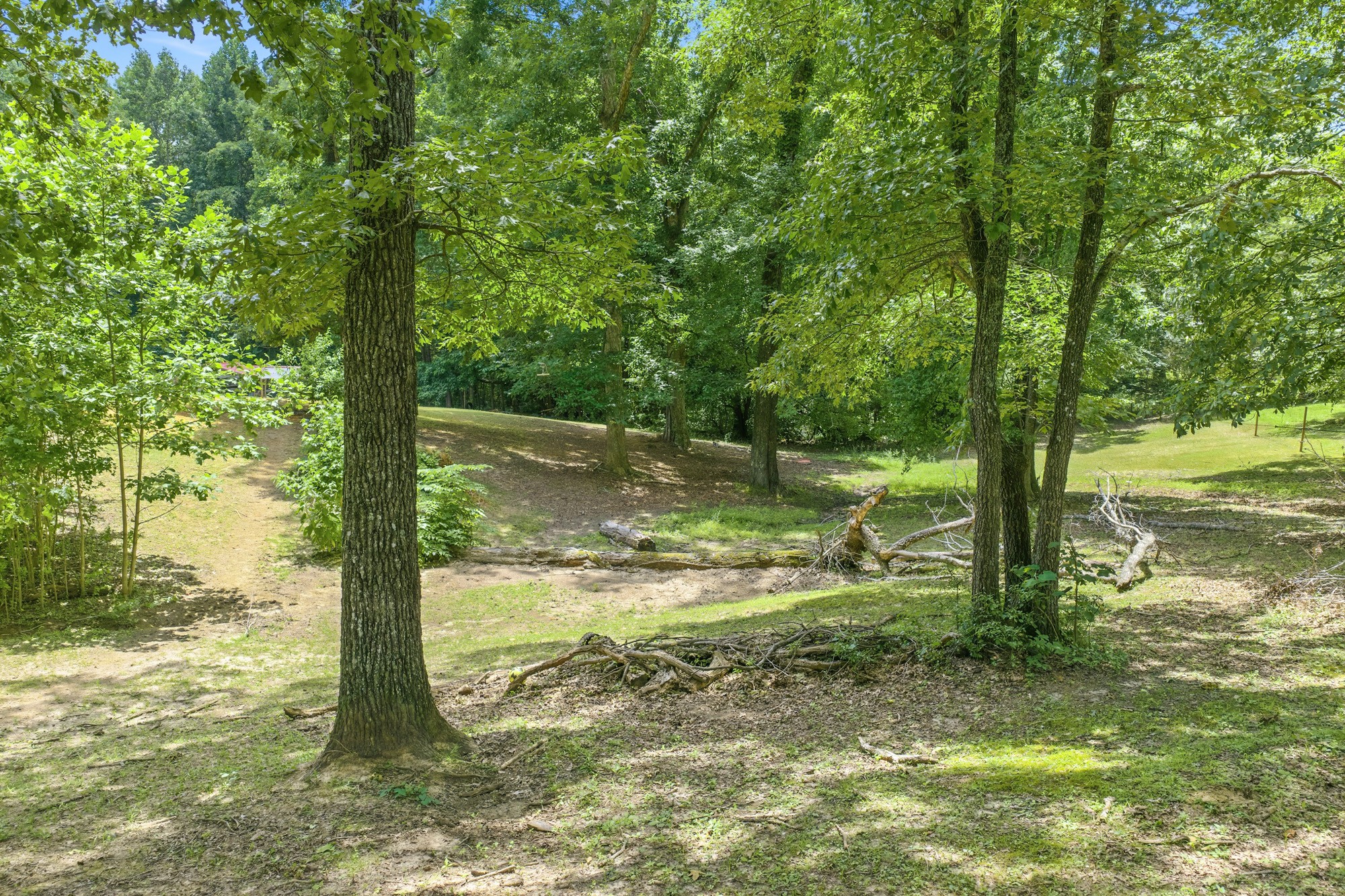 38 Doe Creek Rd Property Photo 35