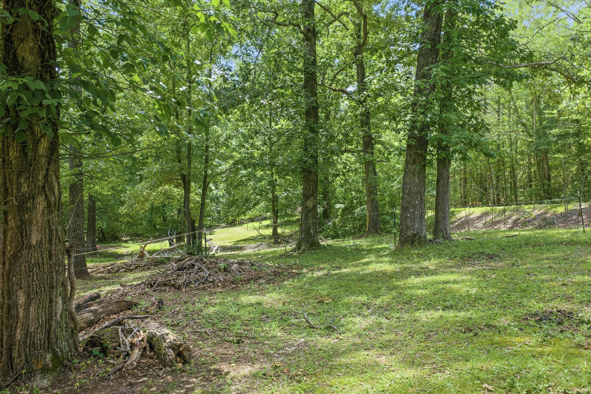 38 Doe Creek Rd Property Photo 38