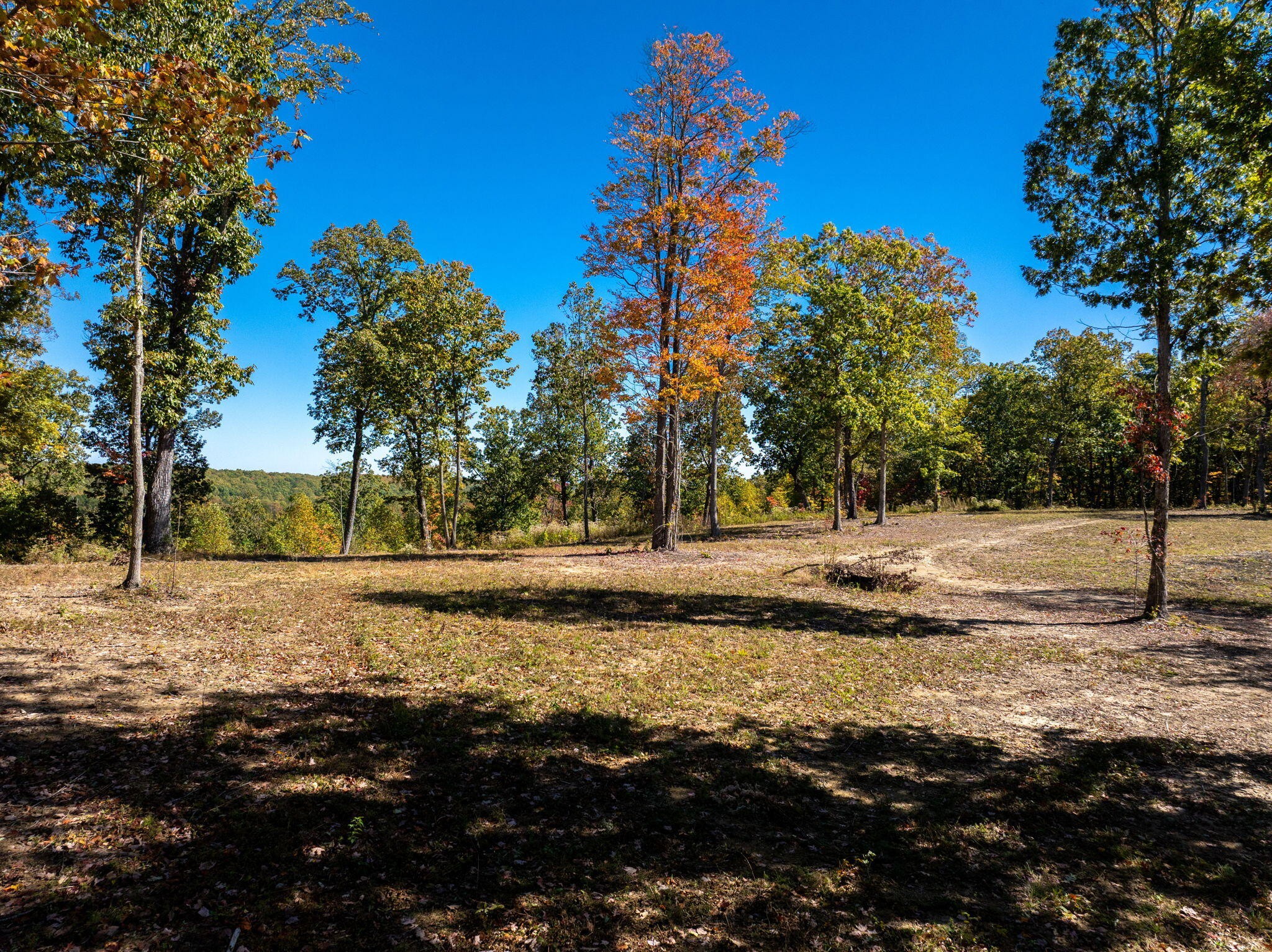 482 Coke Bowman Road Property Photo 1