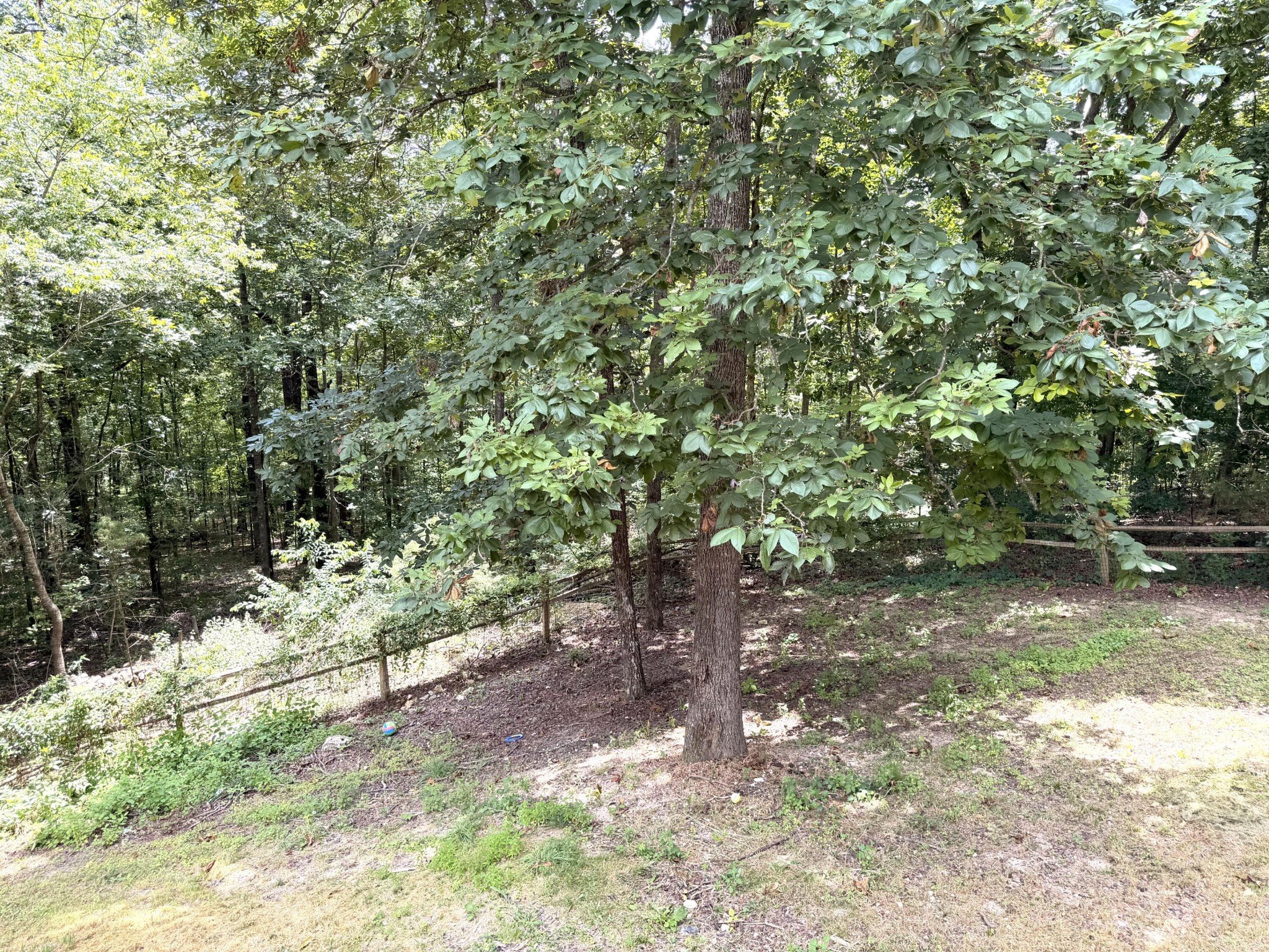 7116 Bramlett Lane Property Photo 21